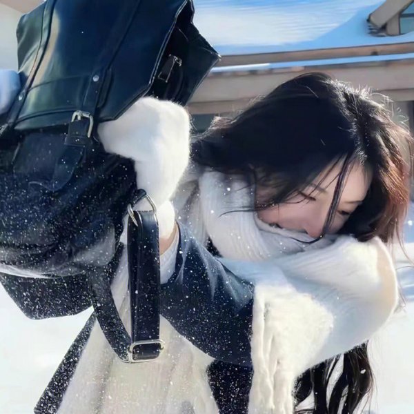 寻找爱丽丝吉